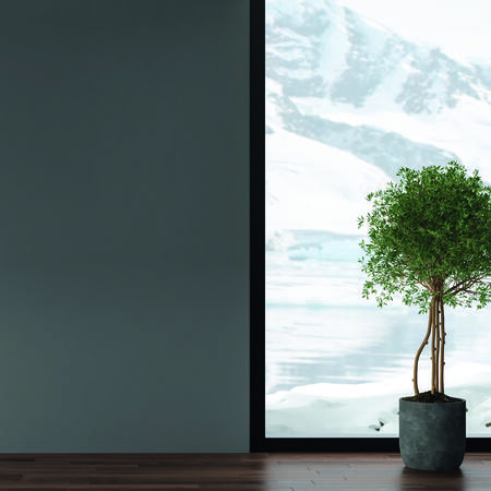 indoor winter